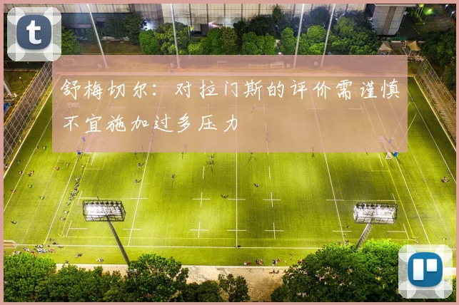 舒梅切尔：对拉门斯的评价需谨慎不宜施加过多压力