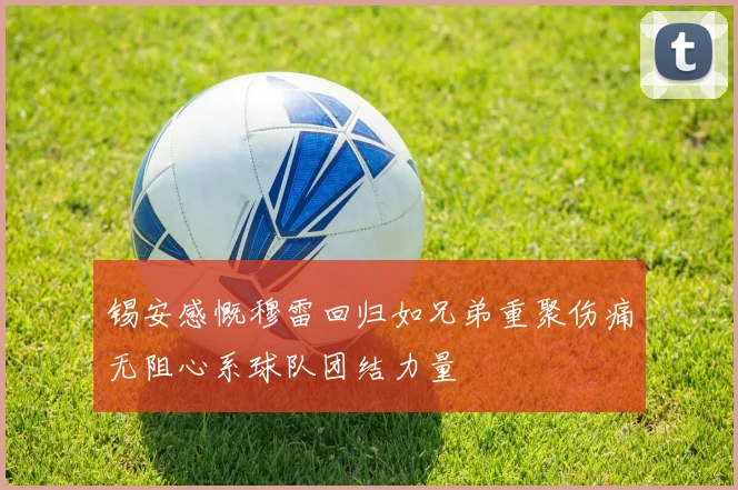 锡安感慨穆雷回归如兄弟重聚伤痛无阻心系球队团结力量
